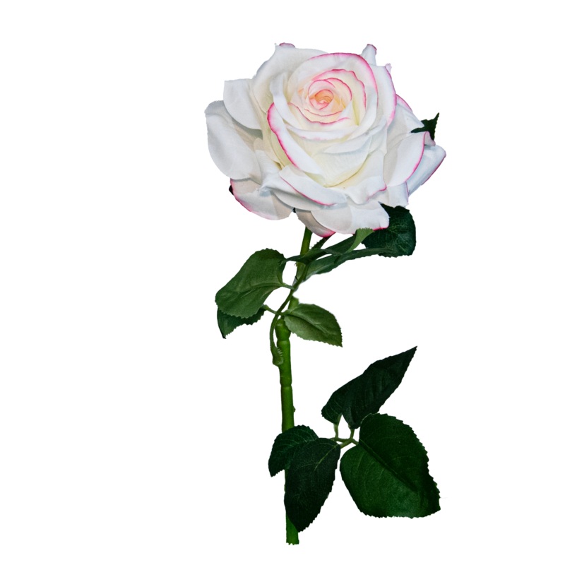 Rose Spray, White, 24.5