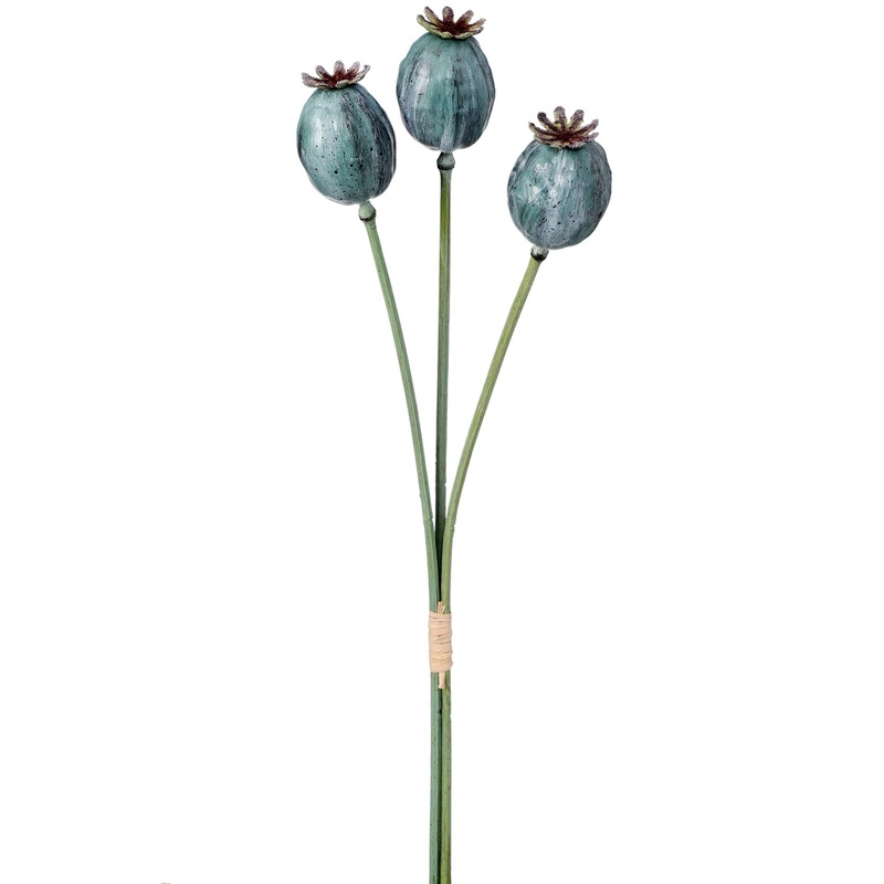 Poppy Pod Spray 20