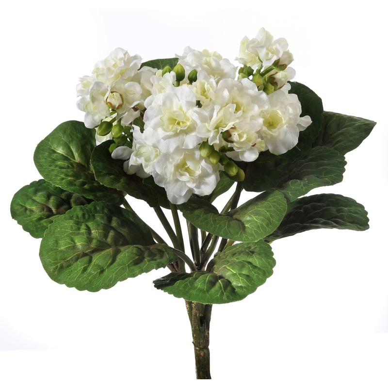 Violet Plant Spray, 12