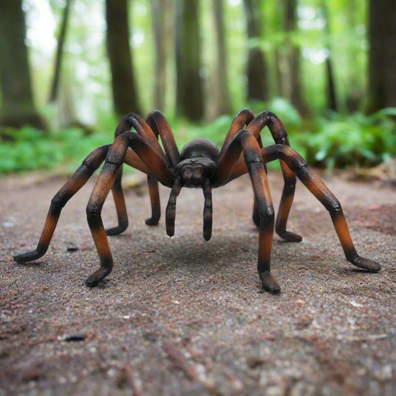 Recluse Spider|Recluse Spider (Brown)|Recluse Spider (Black)