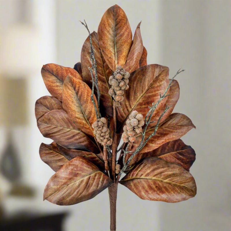 24 Harvest Magnolia Bush
