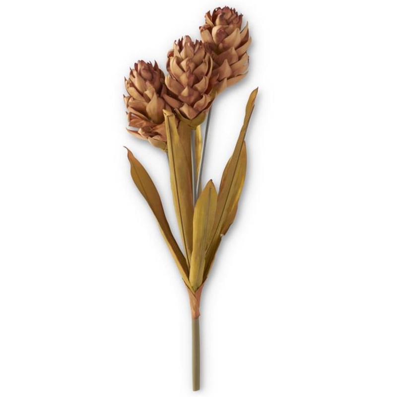 28 Brown Ginger Triple Flower Stem