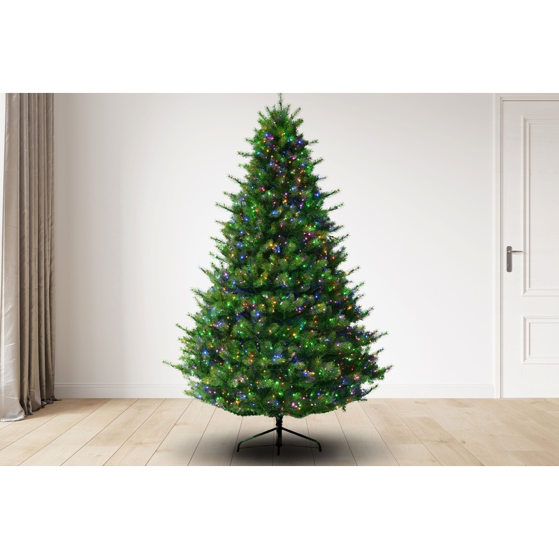 Bristol Pine Christmas Tree W/ 3000 3mm Dual Color lights, 60D, 7.5′