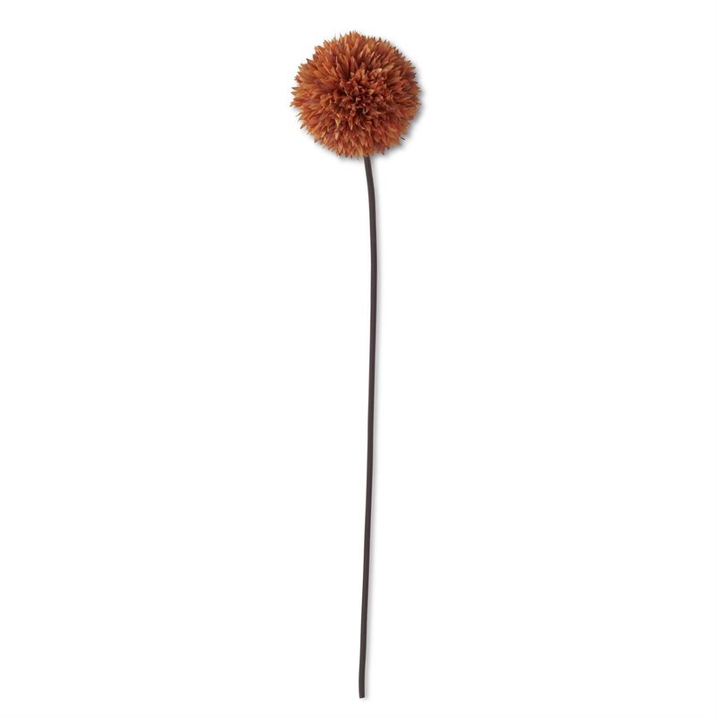 Orange Allium Stem, 31