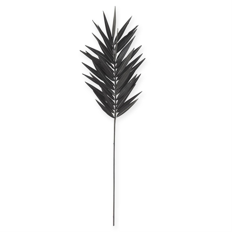 Black Palm Stem, 43