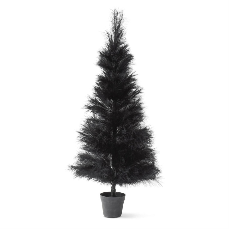Black Pampas Grass Tree, 60