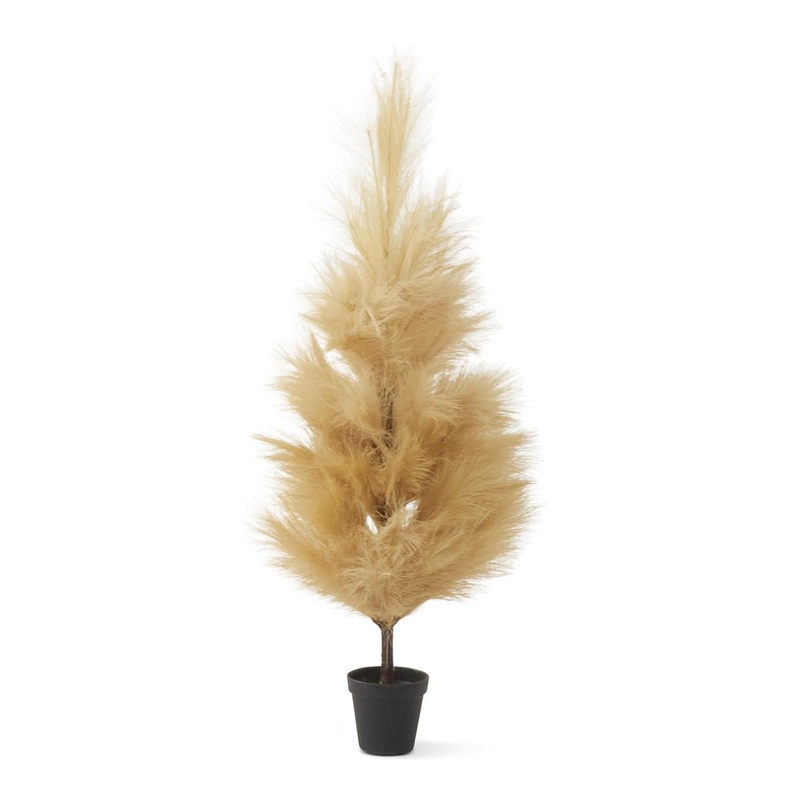 Cream Pampas Grass Tree, 36