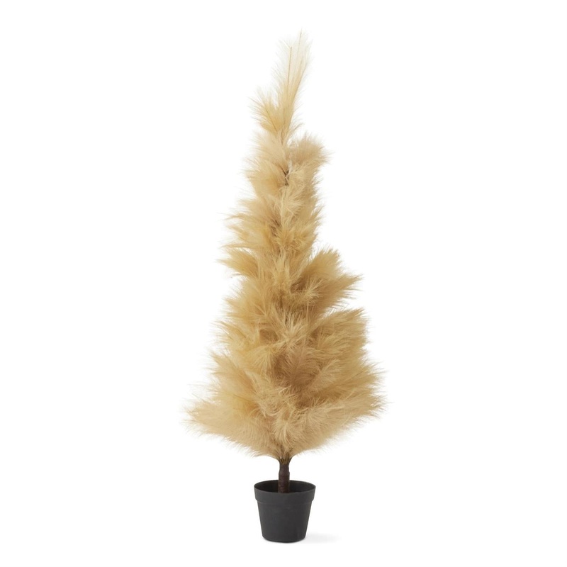 Cream Pampas Grass Tree, 60