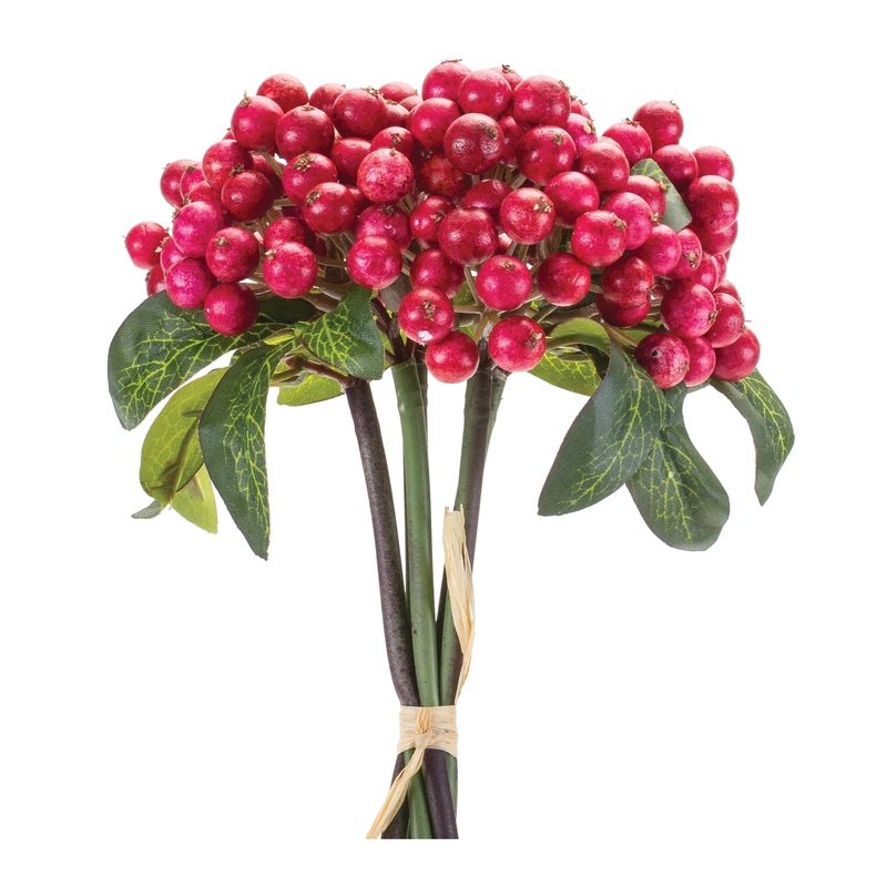 Harvest Cranberry Bundle, 12.5
