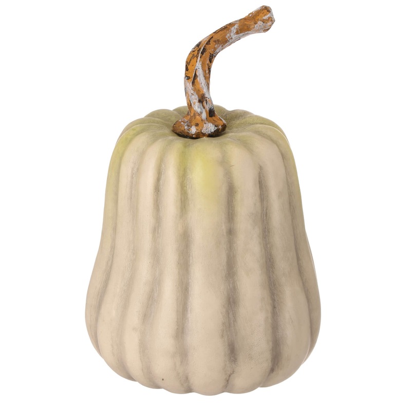 Hybrid Latex Gourd Pumpkin, 10