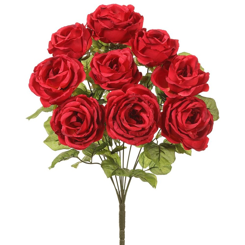 Rose Bush (Red), 20