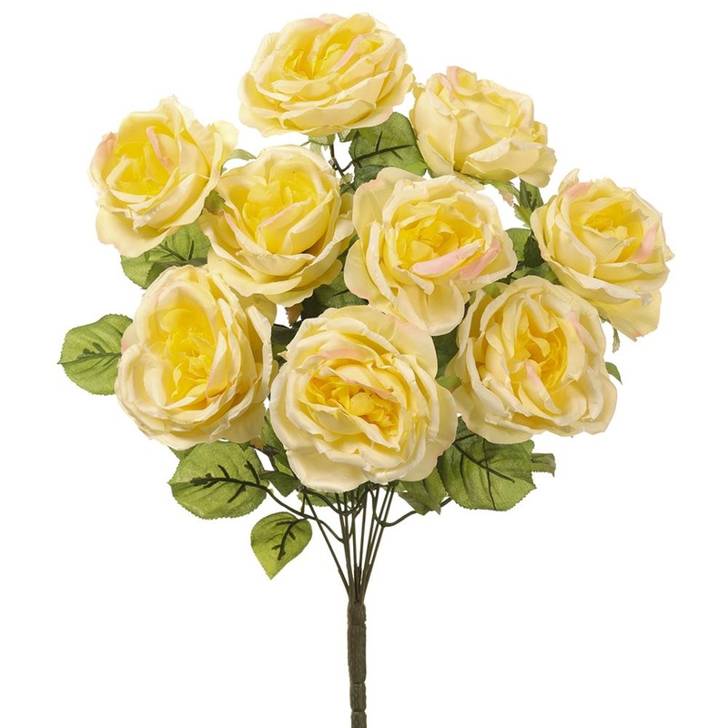 Rose Bush (Yellow), 20