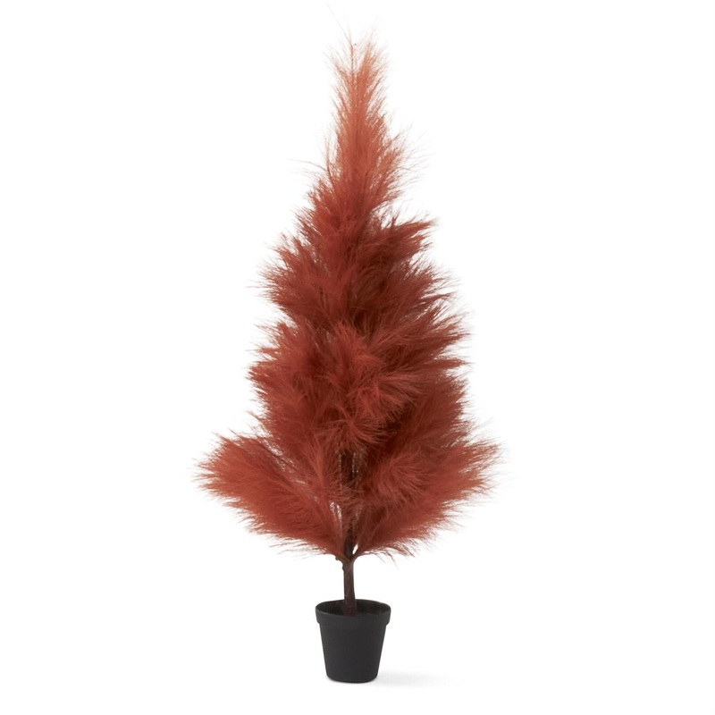Rust Pampas Grass Tree, 36
