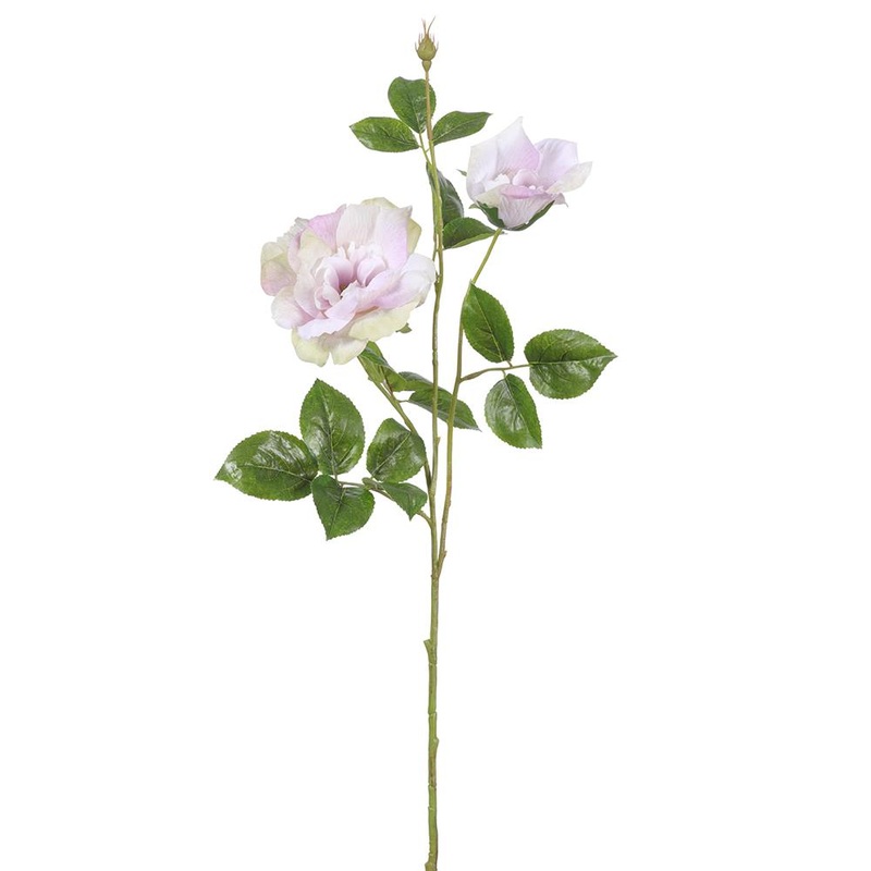 Wild Rose Spray (Cream Amethyst), 32.2