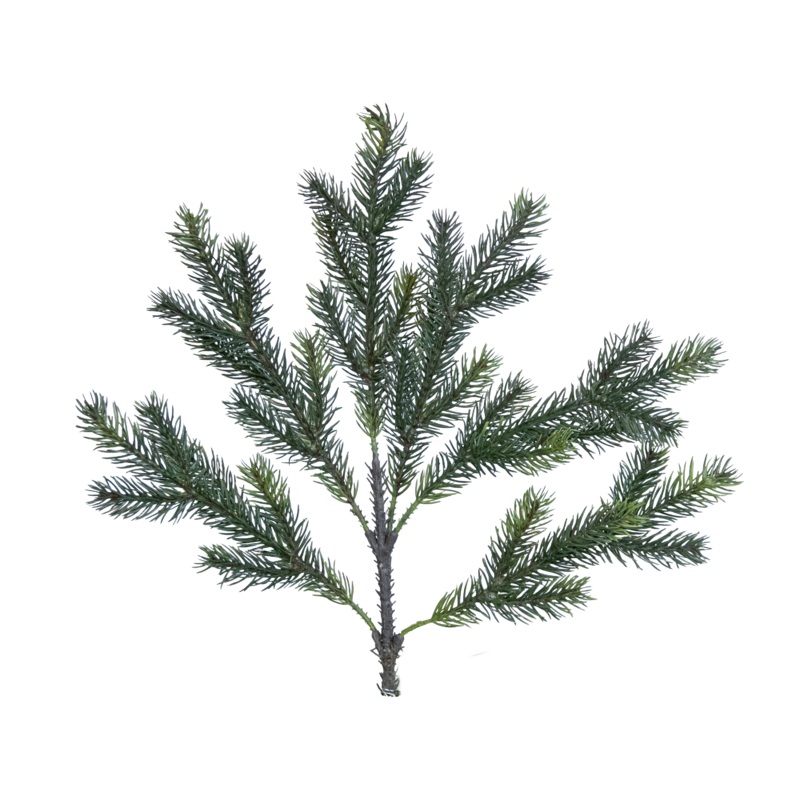 Angel Pine – 6 Tip, 15.5