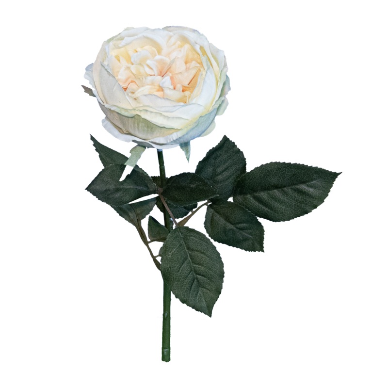 English Rose Spray, Ivory, 25