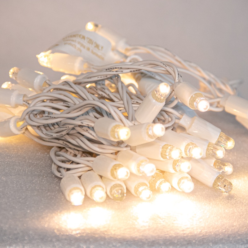 LED String Lite 50 – Warm White, 120V