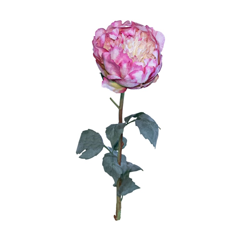Peony Spray, Fuchsia/White, 30.7