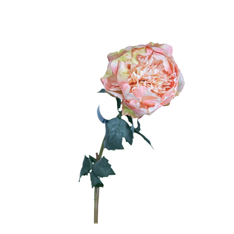 Peony Spray, Pink, 30.7