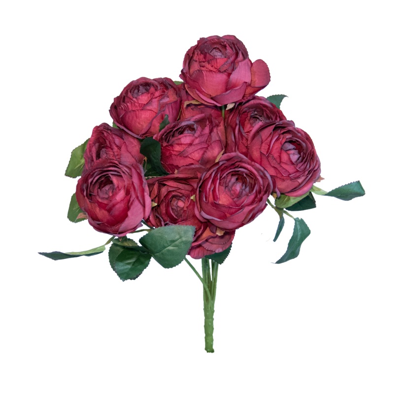 Rose Bush x 10, Burgundy, 19
