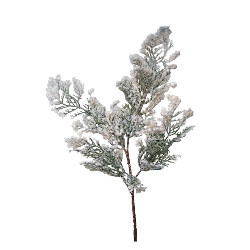 Snow Cedar Spray, 19