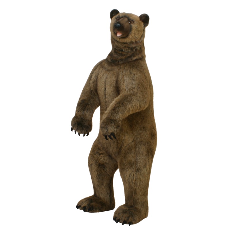Grizzly Bear 59