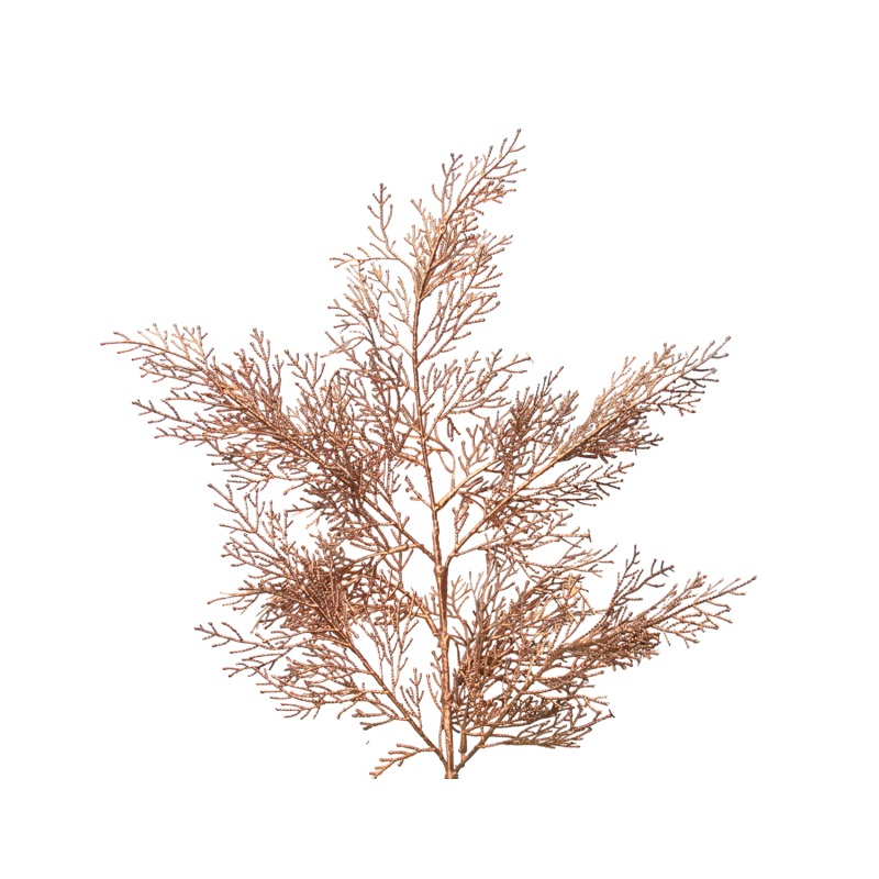 24 Copper PE Licopodium Spray