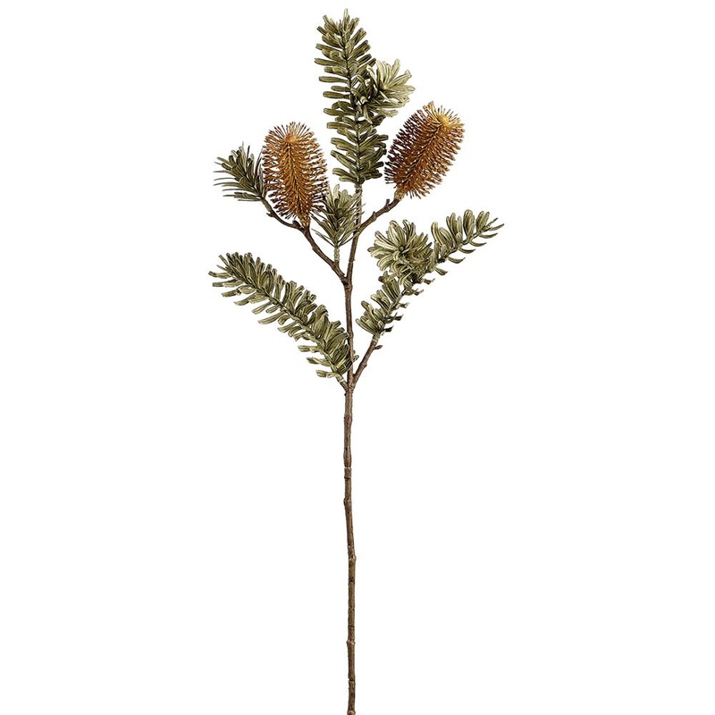 Banksia Spray, 26 (Brown)