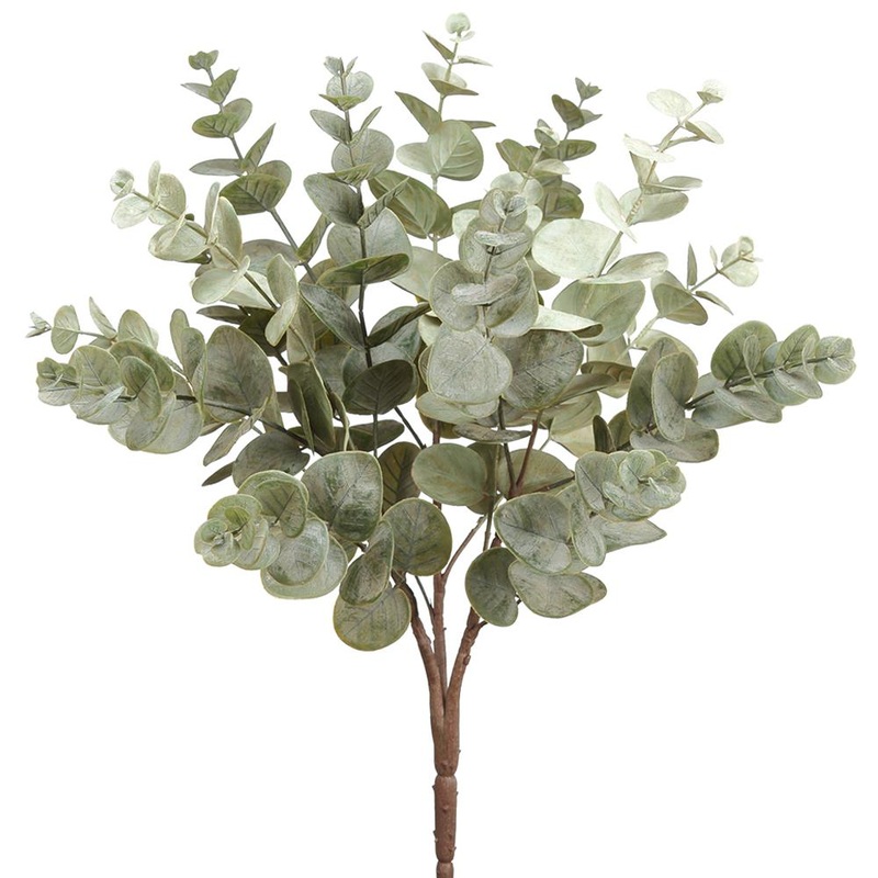 Eucalyptus Bush, 19 (Green Gray)
