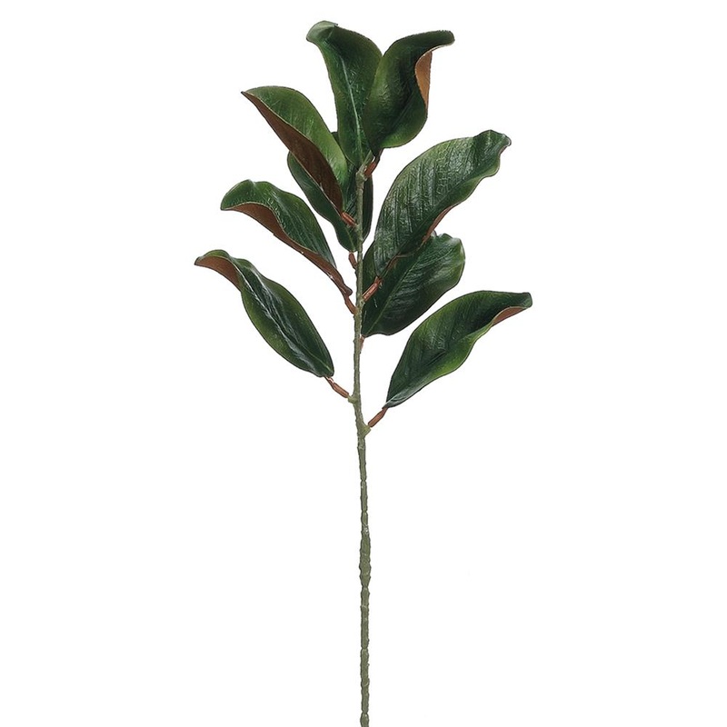 Magnolia Leaf Spray w/9 Leaves, 28 (Green)