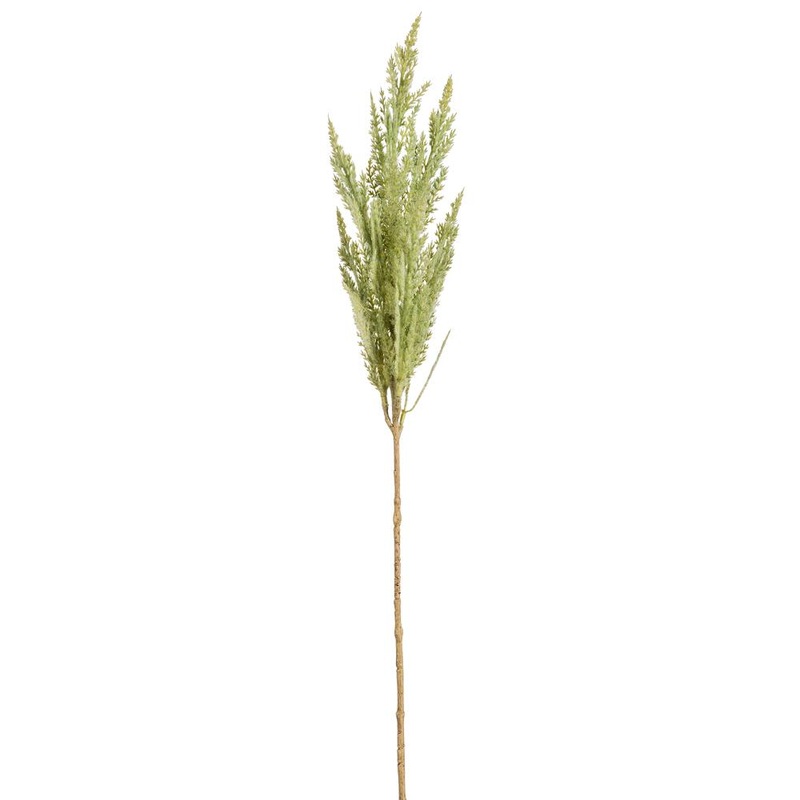 Pampas Grass Spray, 32 (Green)