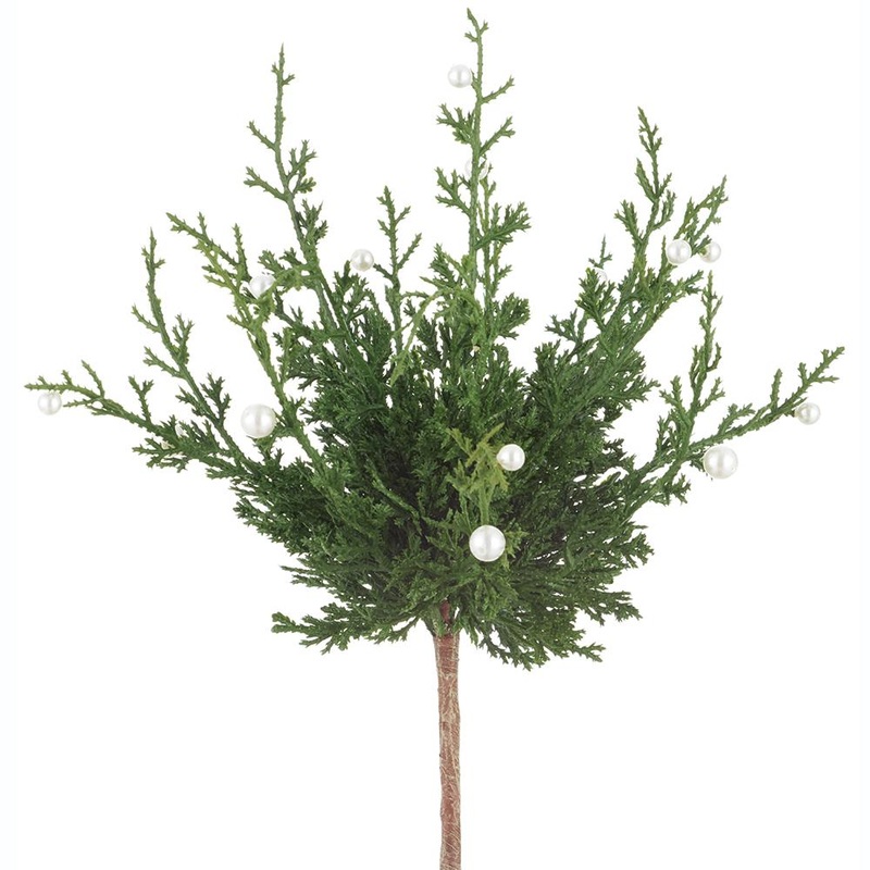 Pearl Cedar Bush, 15 (Green Pearl)