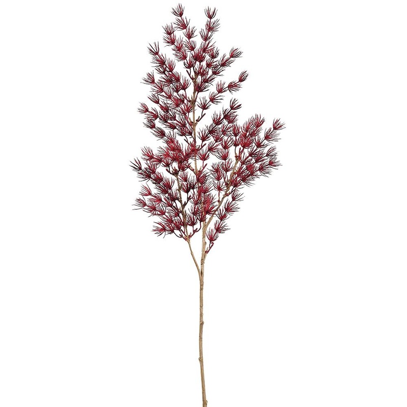 Umbrella Asparagus Spray, 29 (Burgundy)