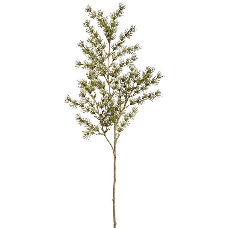 Umbrella Asparagus Spray, 29 (Green)