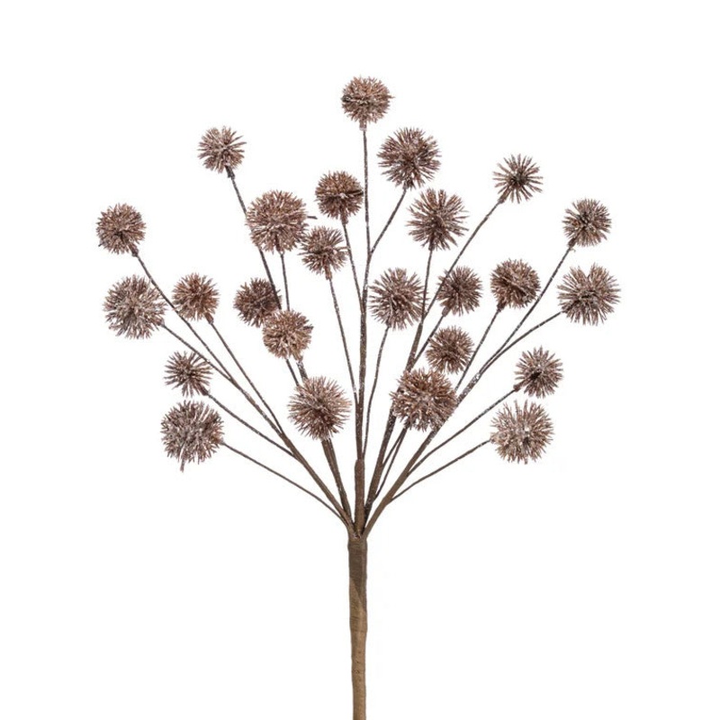Brown Thistle Spray