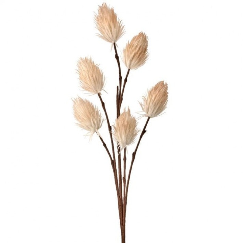 Foam Thistle X6, 46 (Ivory)