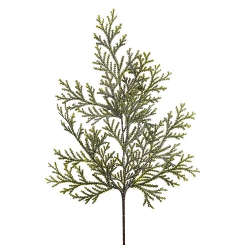 Frosted Lycopodium Spray, 21