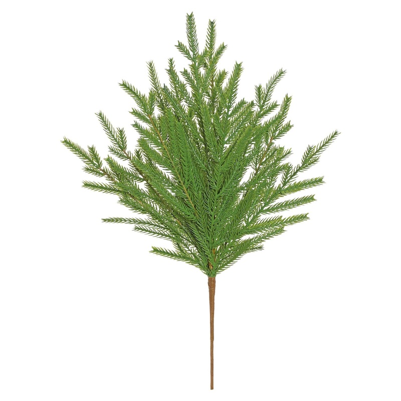 Norfolk Pine Bush, 20 (Green)