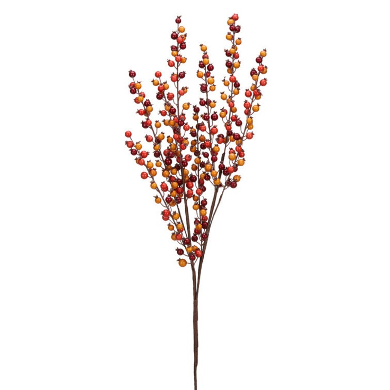 Orange Berry Bush, 34