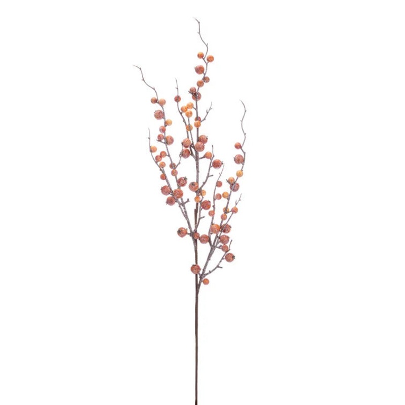 Orange Mixed Berry Spray, 29