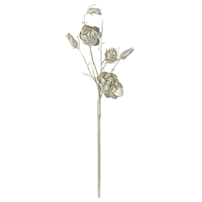 Protea Spray, 37.5 (Champagne)