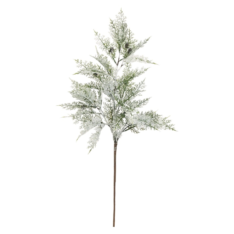 Snow Cedar Branch, 36 (PE, Green & White)