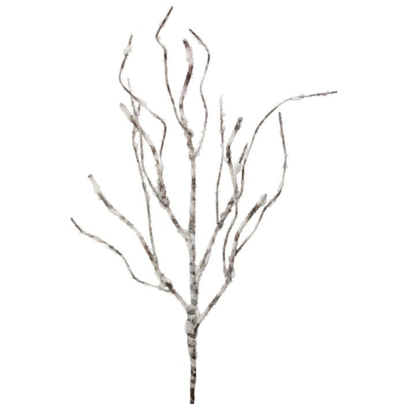 Snow Covered Frosted Birch Stem, 29