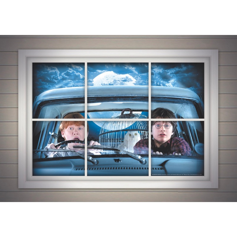 Affiche de porte – Harry et Ron – Harry Potter