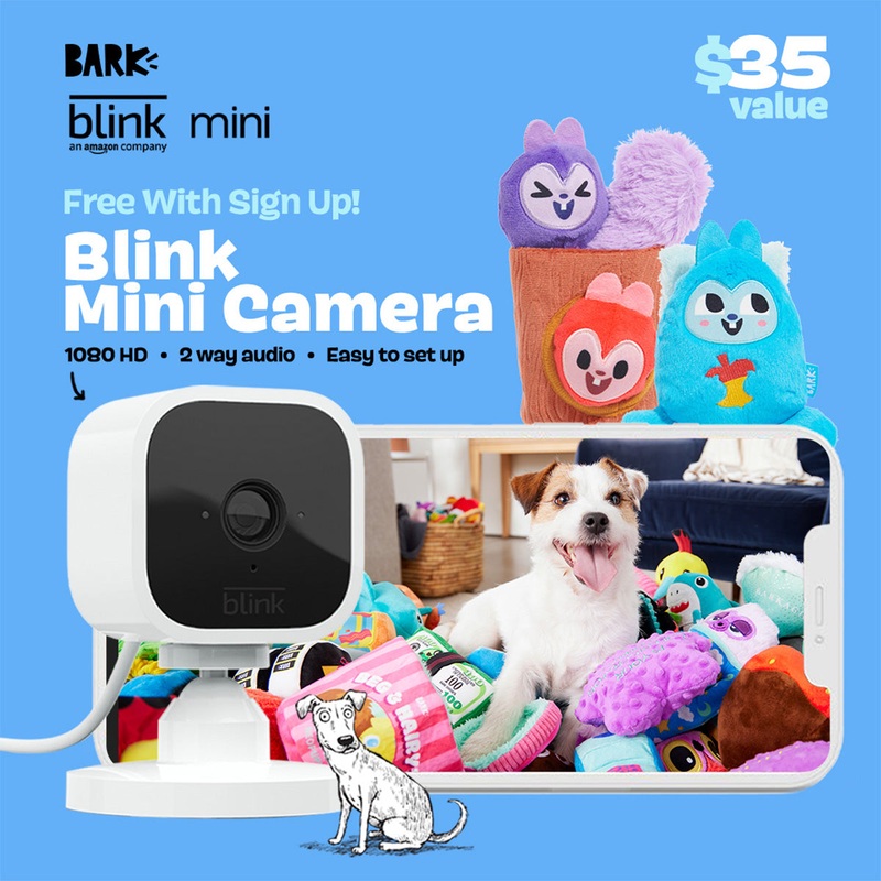 BarkBox + Free Blink Camera: 12 Month Subscription