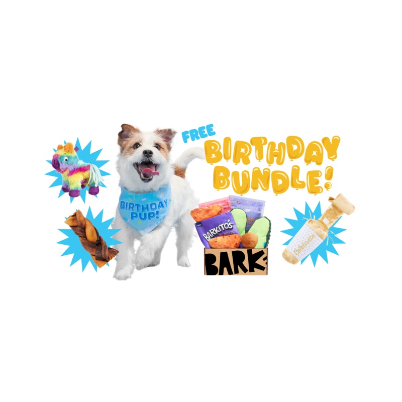 BarkBox Birthday Bundle|Small|Medium|Large