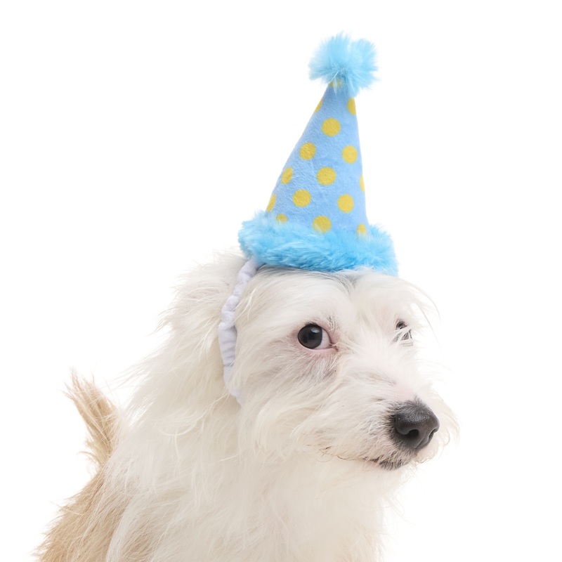 Party Hat|S|M|L