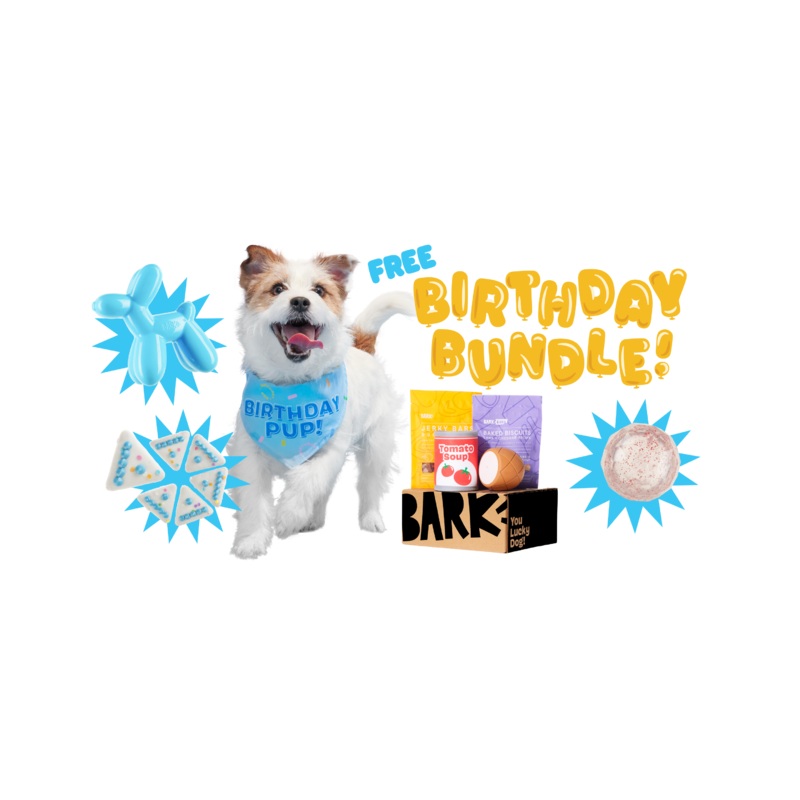 Super Chewer Birthday Bundle|Small|Medium/Large