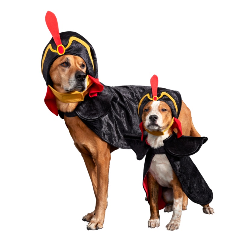 Jafar Costume|S|M/L