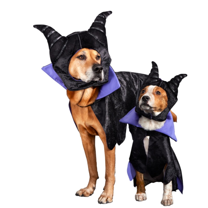 Maleficent Costume|S|M/L